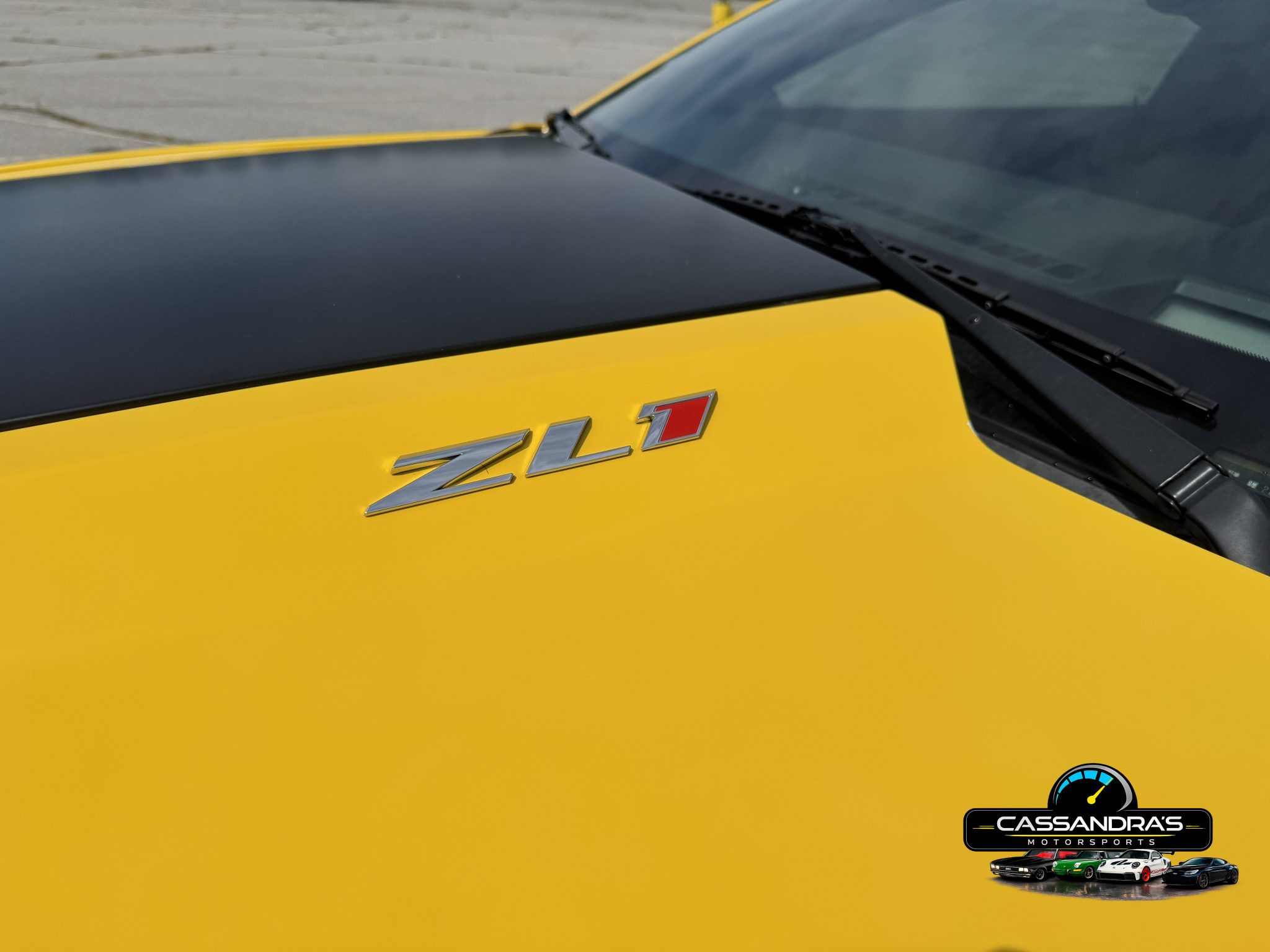23
