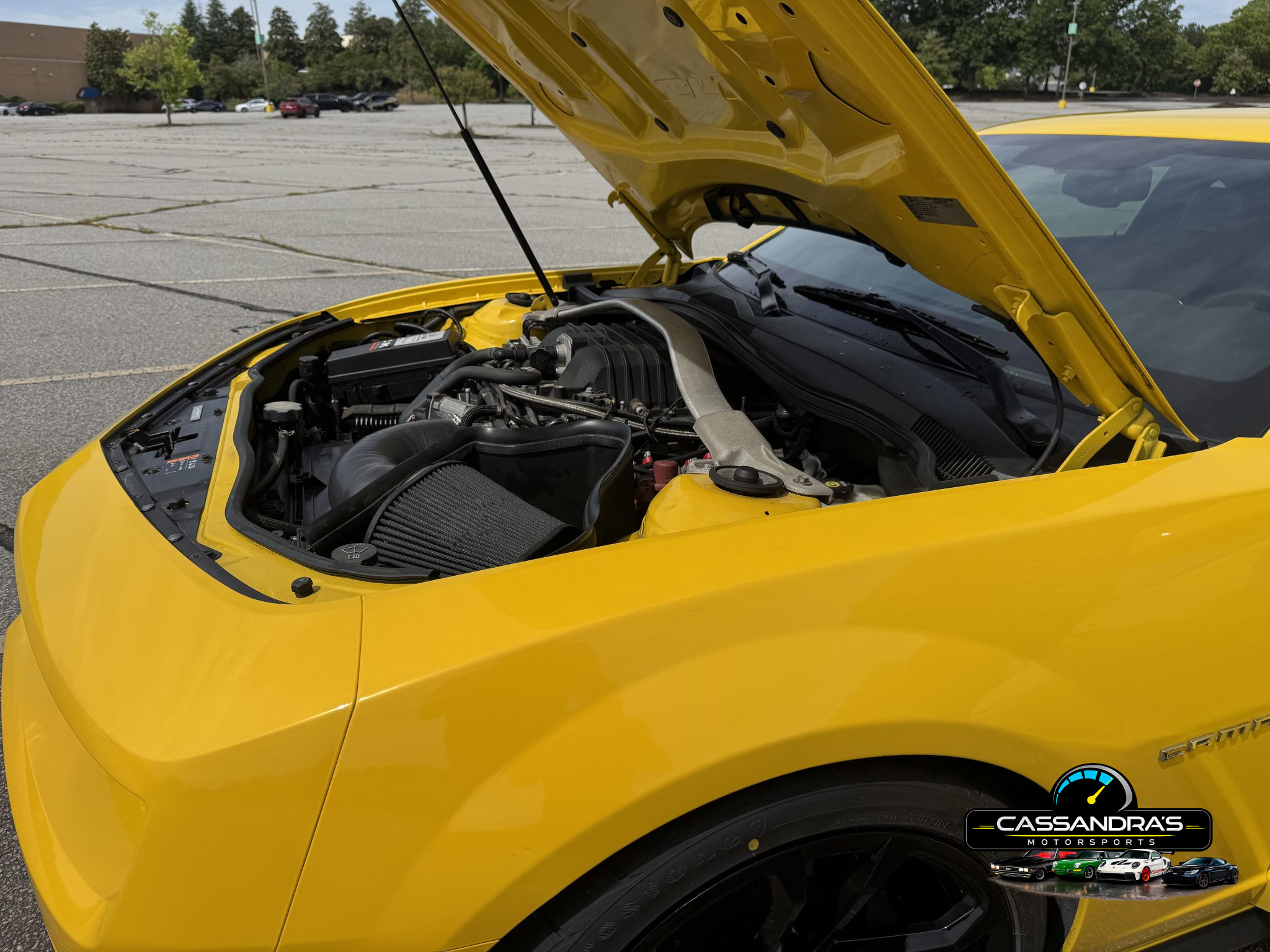 81