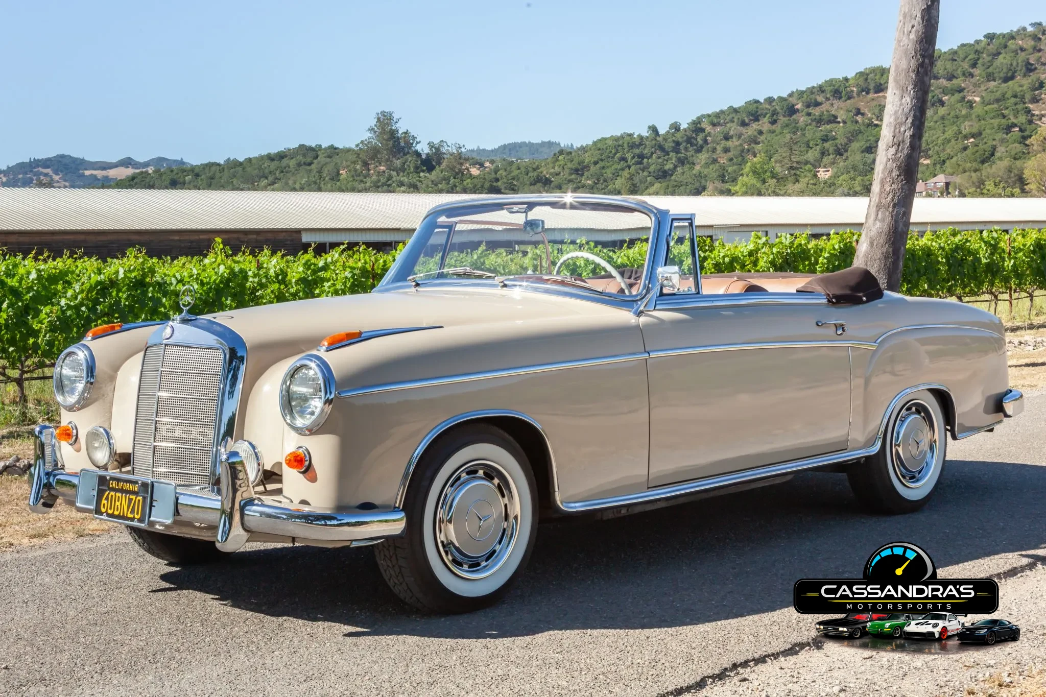 1960 Mercedes-Benz 220SE