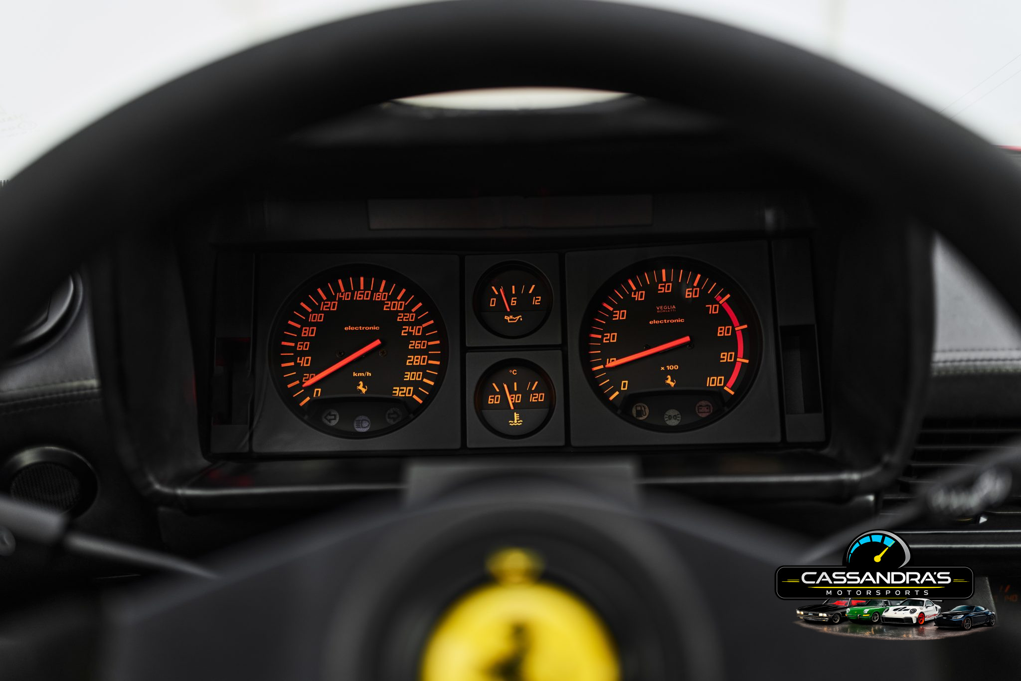 81